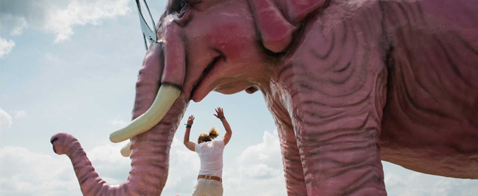 Travel Wi - elephant